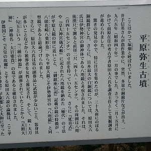 サムネイル画像