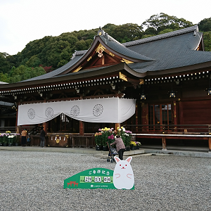 サムネイル画像