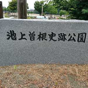 サムネイル画像