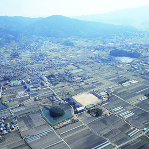 サムネイル画像