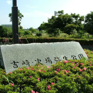 サムネイル画像