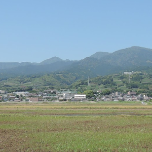 サムネイル画像