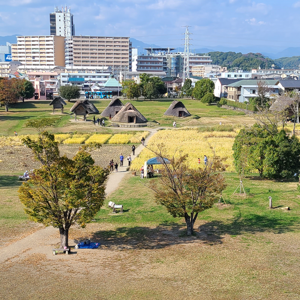 サムネイル画像